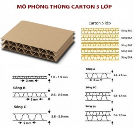 Bao bì carton dợn sóng 5 lớp